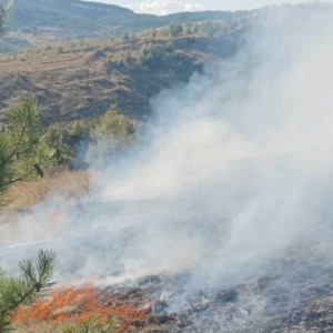 Пожар уплаши КОШАРЕВО: Пожарникари и доброволци гасят рамо до рамо огъня