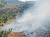 Пожар уплаши КОШАРЕВО: Пожарникари и доброволци гасят рамо до рамо огъня