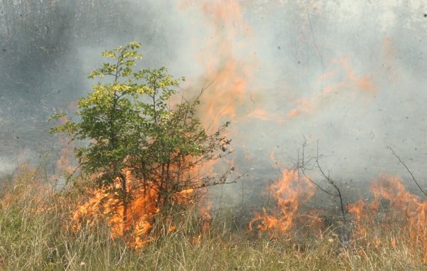 13 пожара в Перник за два дни! Преди да палите треви и храсти, вижте колко ще си платите за това…